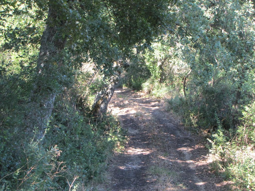 Agriturismo San Pietro Gangi Ngoại thất bức ảnh