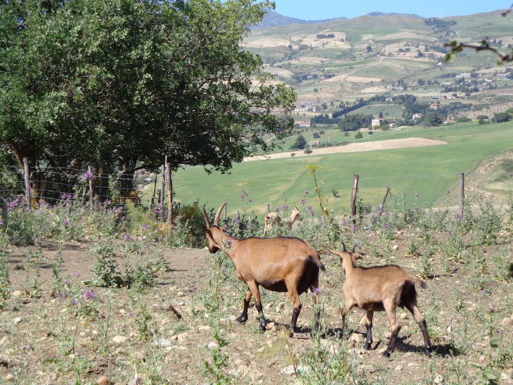 Agriturismo San Pietro Gangi Ngoại thất bức ảnh